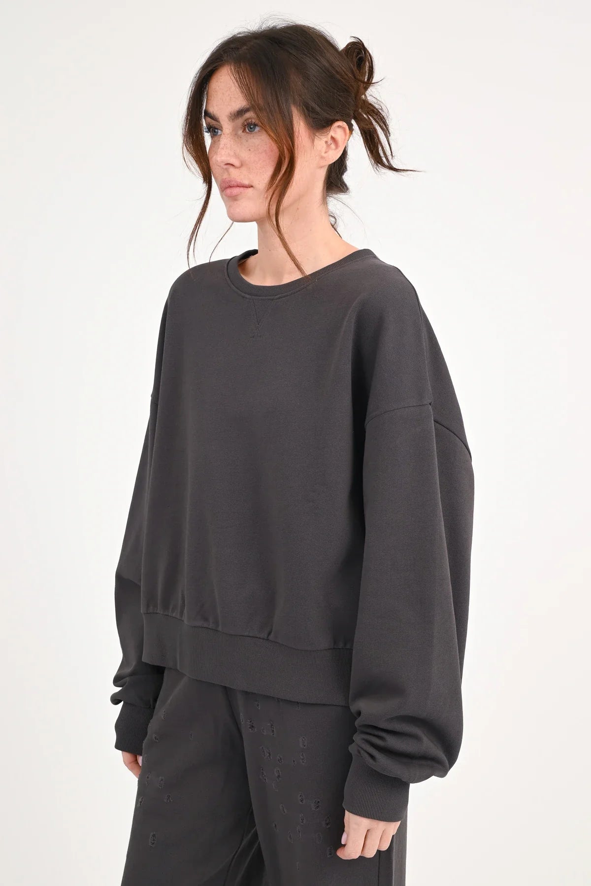 Sweatshirt "Lorida"-dolphin