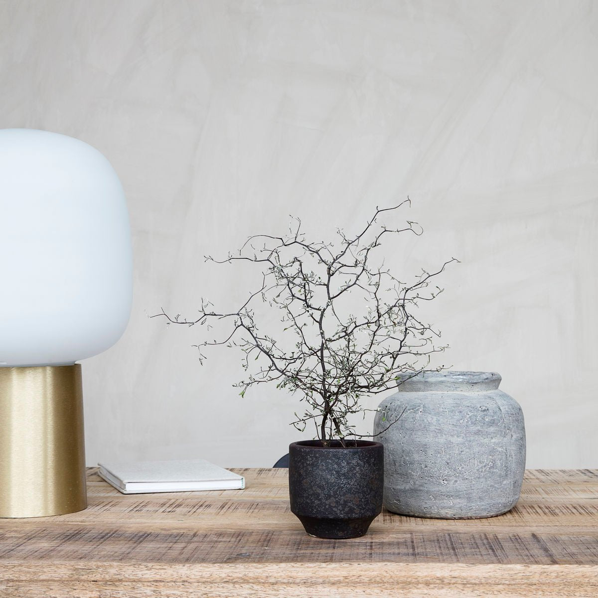 Vase - Dein Lieblingsladen Concept