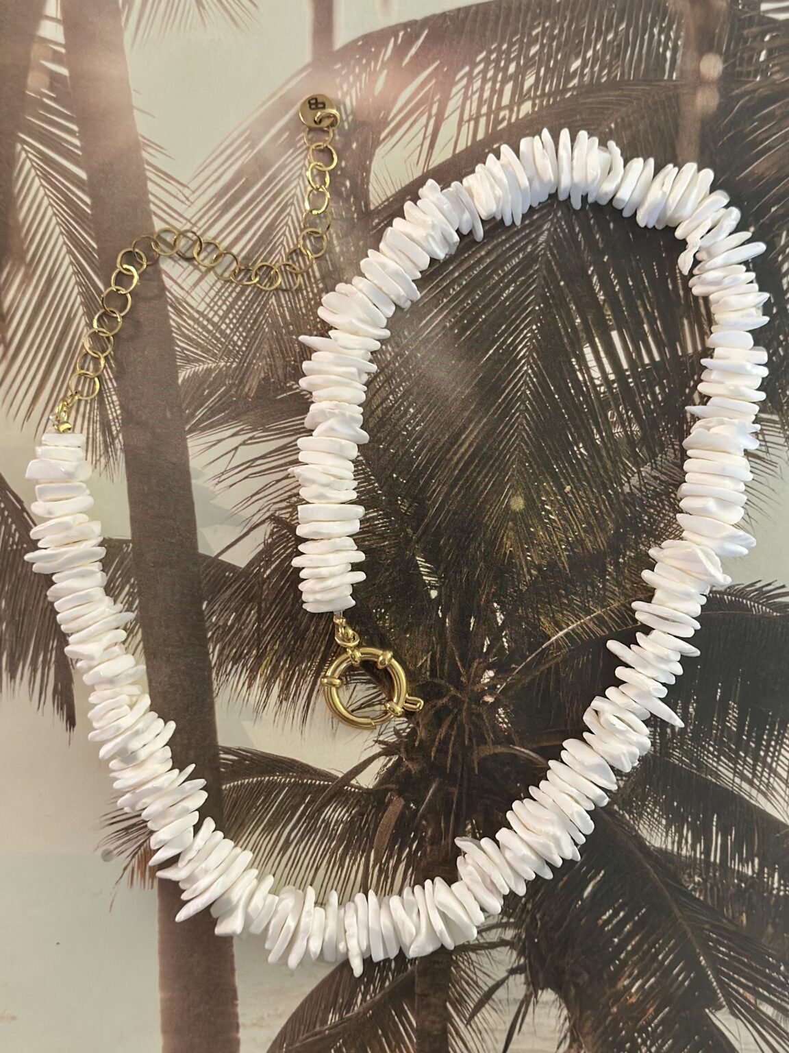 Muschelkette - Dein Lieblingsladen Concept
