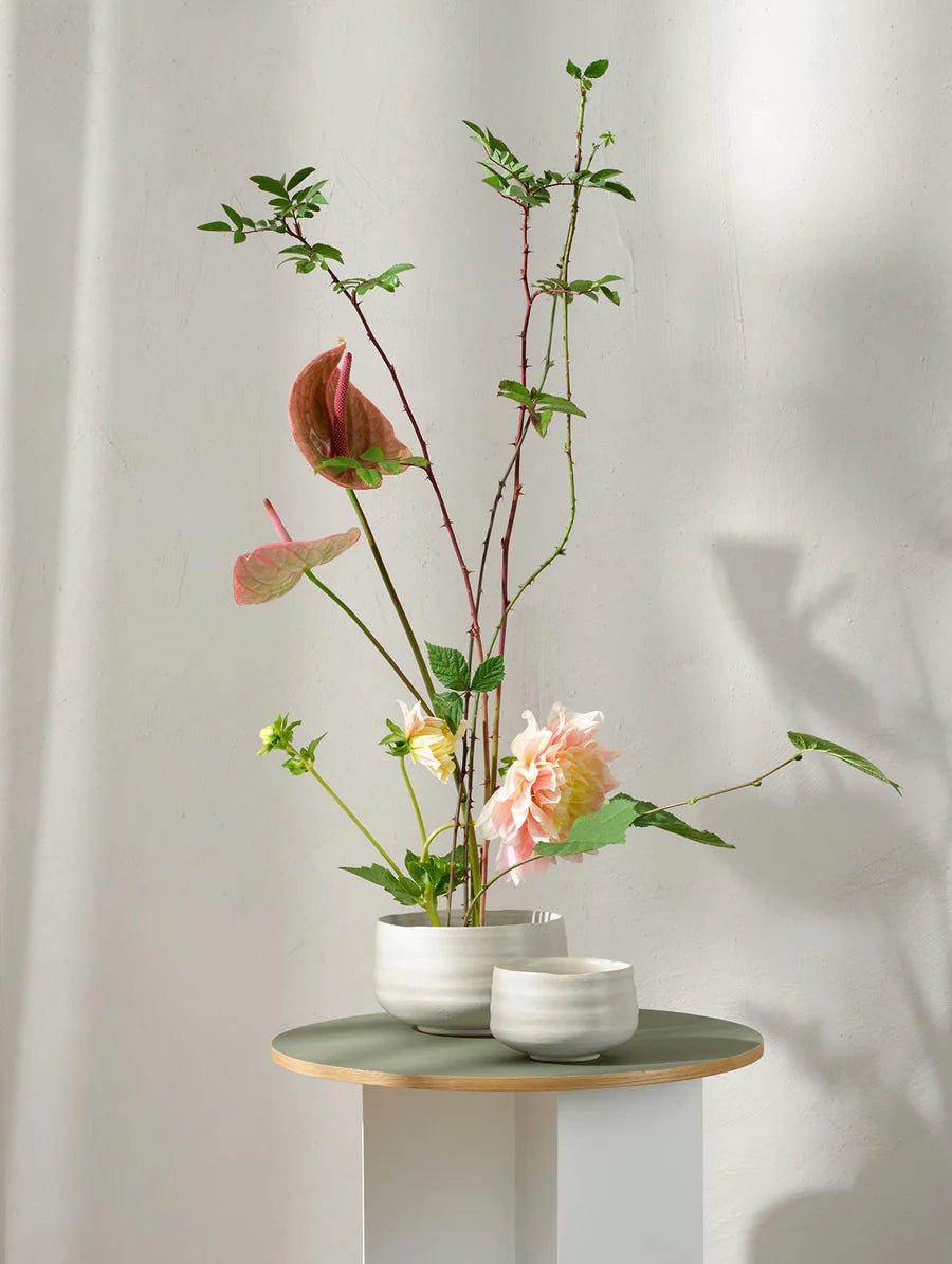 Bowl - hasu - Dein Lieblingsladen Concept