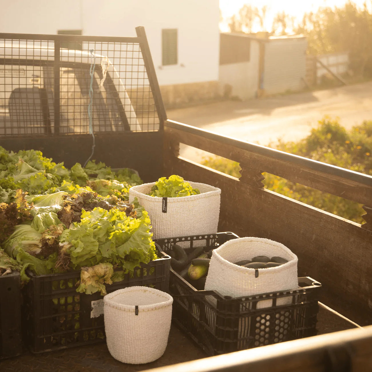 Kiondo Basket S white