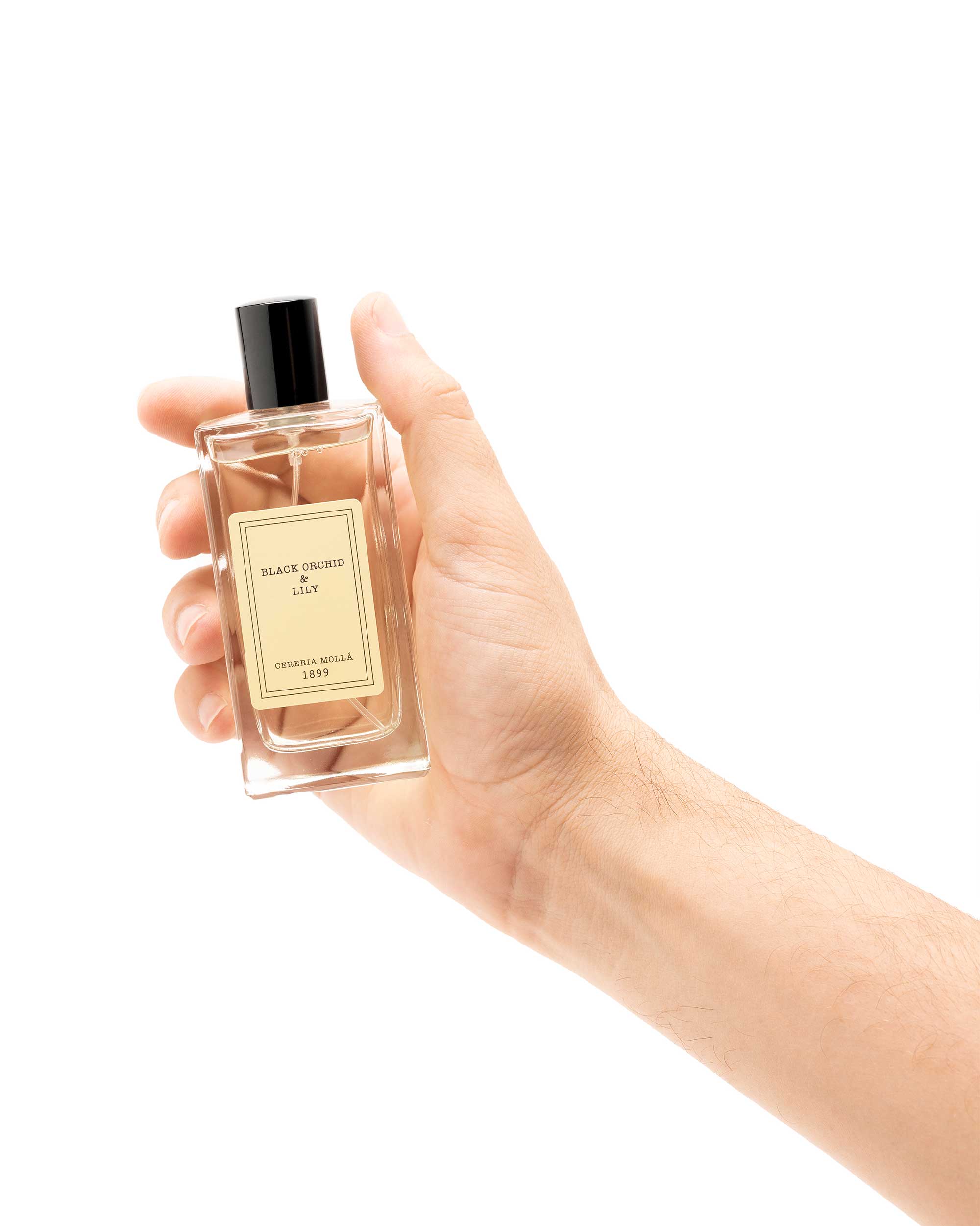 Premium Spray "Black Orchid & Lily"