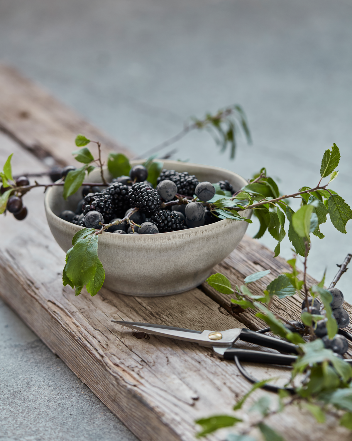 Bowl "HDMore S" grey