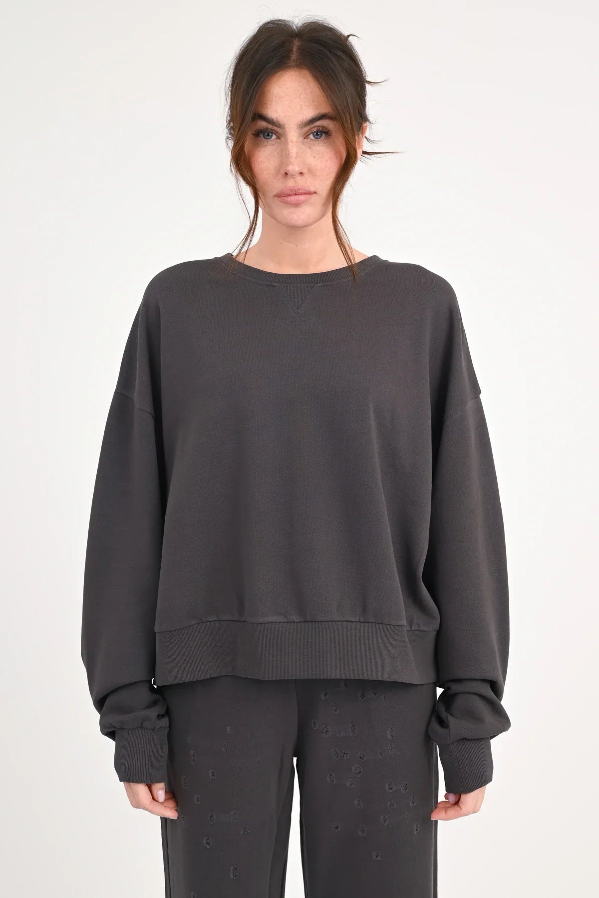Sweatshirt "Lorida"-dolphin