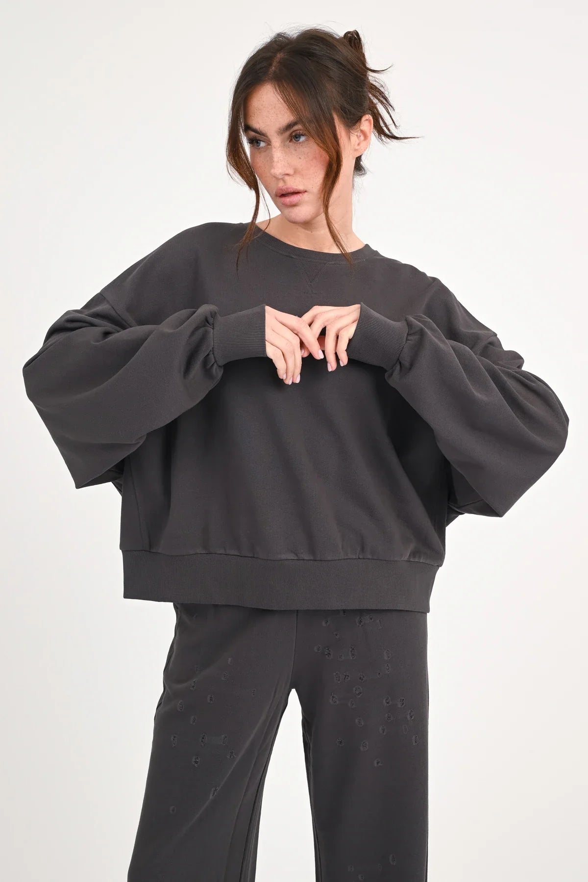 Sweatshirt "Lorida"-dolphin