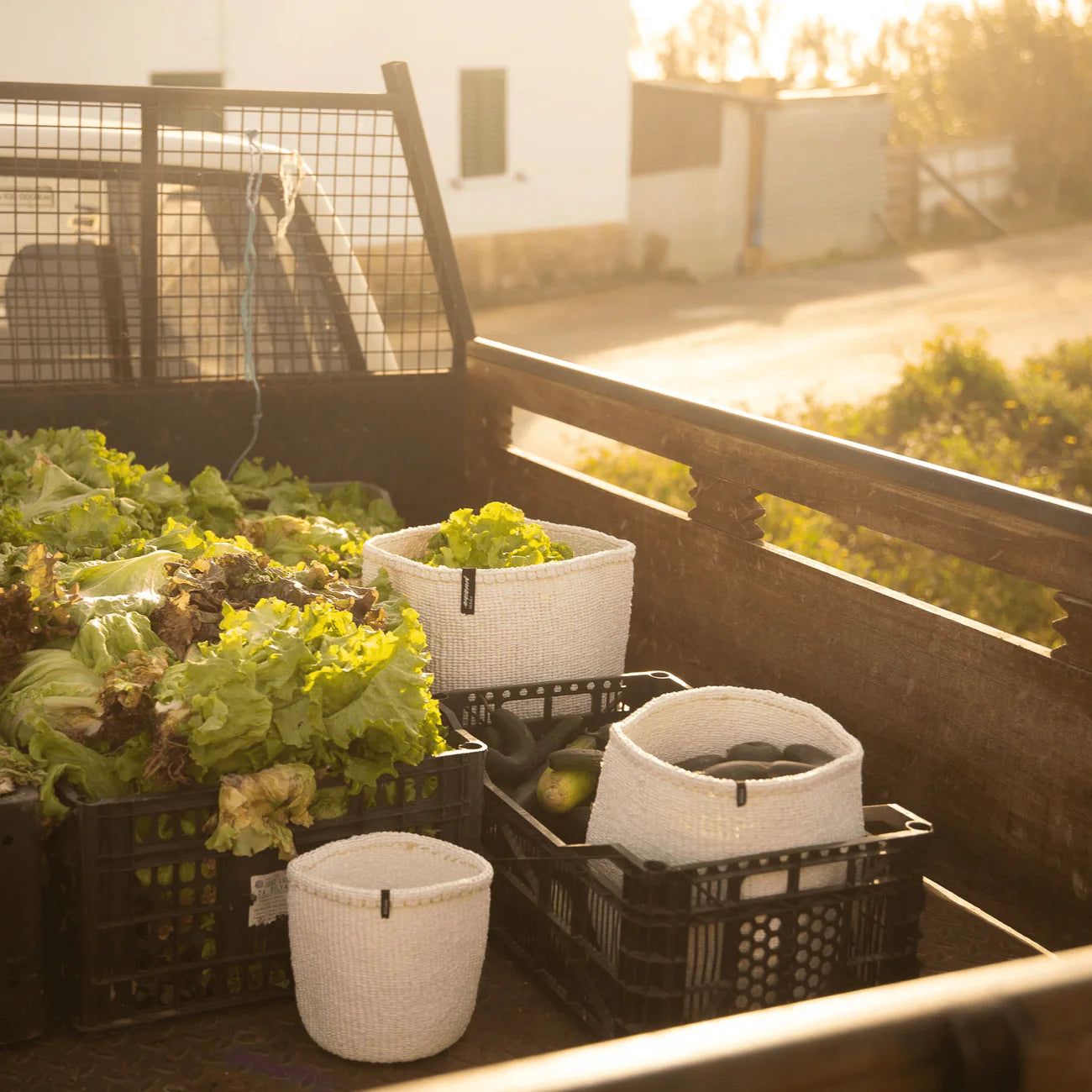 Kiondo Basket XS white